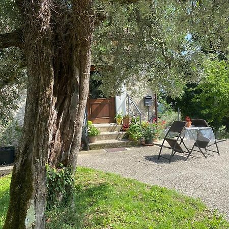 La Casetta Di Vacone Luaran gambar