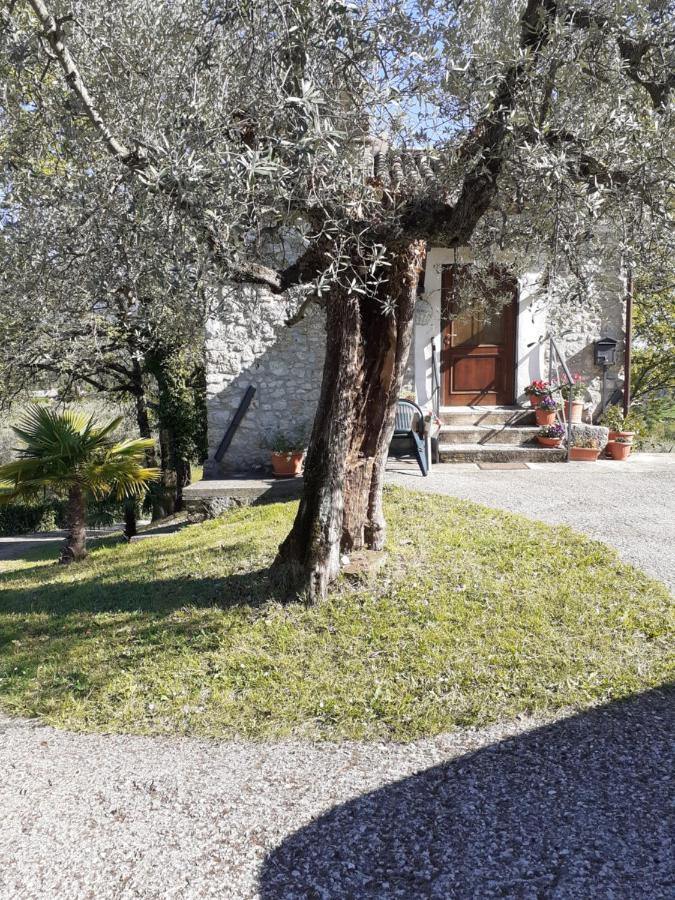 La Casetta Di Vacone Luaran gambar